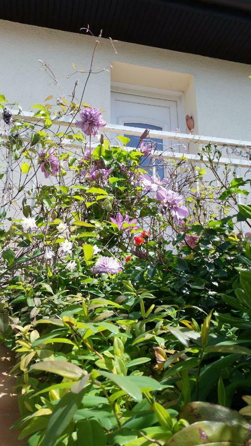 Chambre Avec Jardin Pierre Curie Bry-sur-Marne Exterior foto